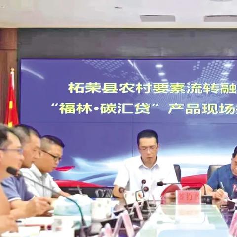 “碳”启未来 “新质”领航|2025年天天彩资料大全高效解答、解释与落实​，规避欺骗广告危害港澳点睛